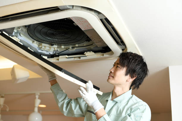 Best Affordable Duct Cleaning Services  in Jackson, TN